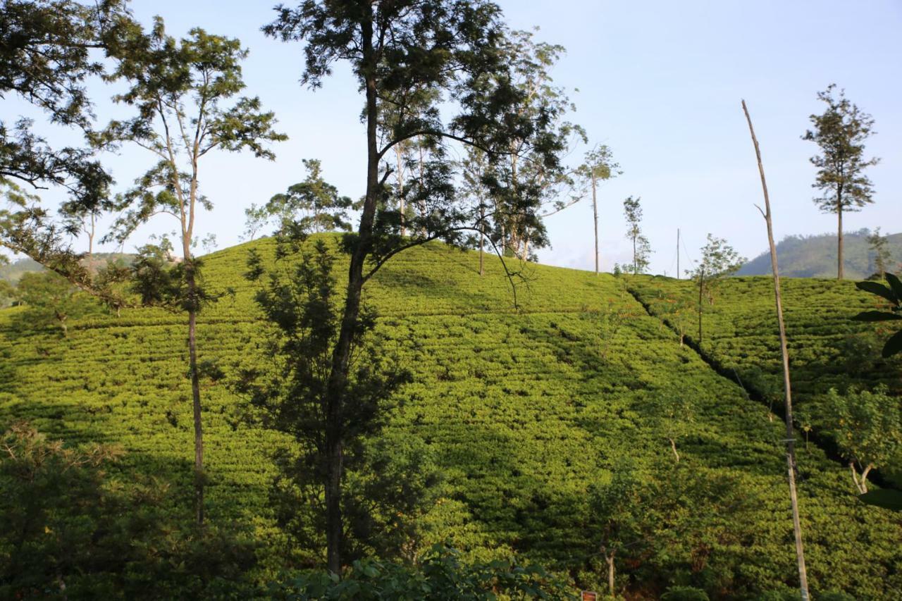 The Tea View Guest Ella Hotel Exterior foto