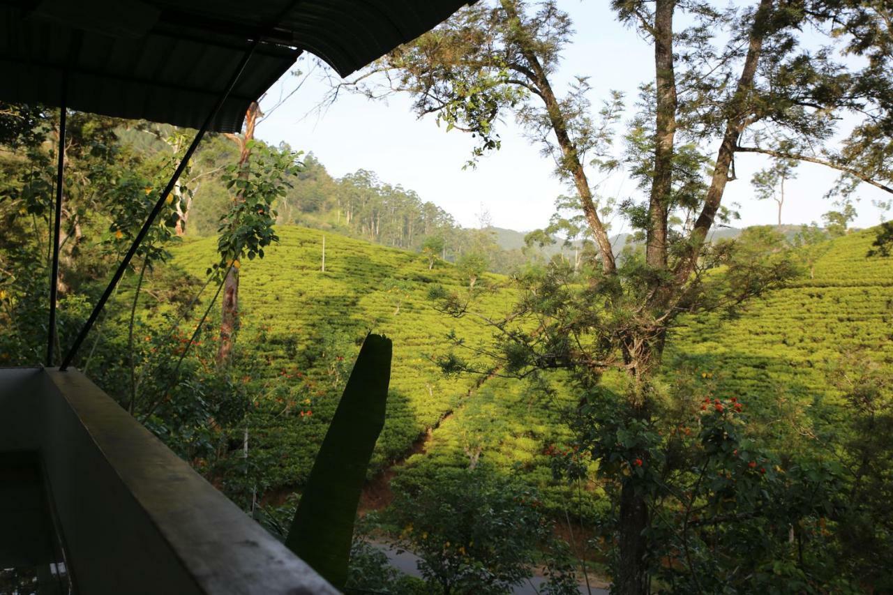 The Tea View Guest Ella Hotel Exterior foto